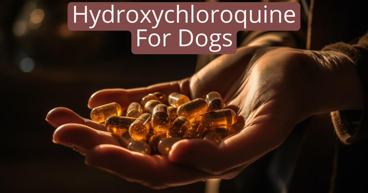 Hydroxychloroquine for Dogs